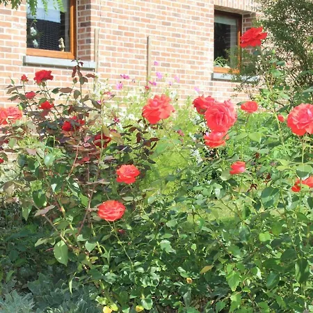 Aux Nids D'hirondelles Holiday home